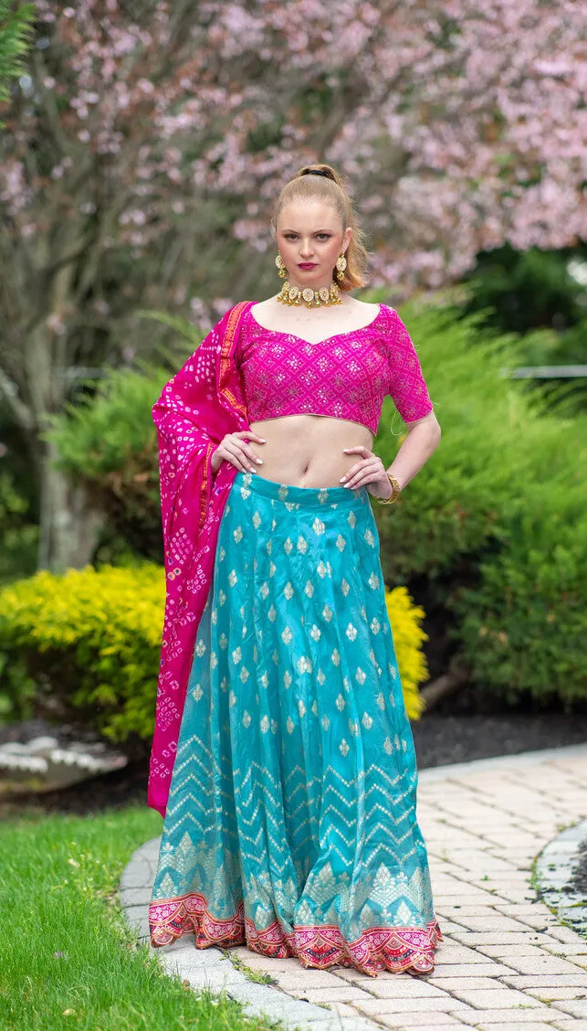 Beautiful Pink And Blue Printed Lehenga Set - Rent