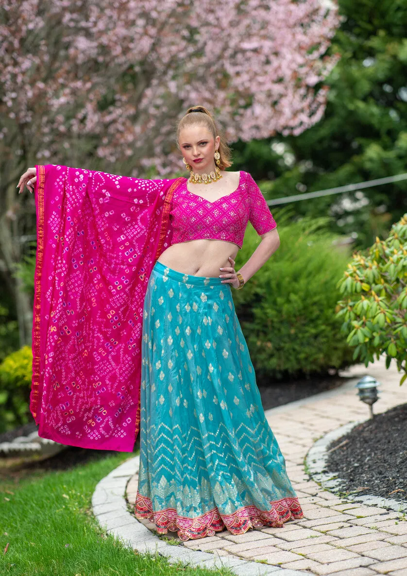 Beautiful Pink And Blue Printed Lehenga Set - Rent